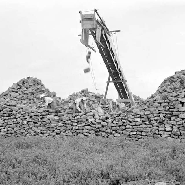 15127837_web1_190117-NDR-M-Peat-mining-in-Burns-Bog-1947-1 15127837_web1_190117-NDR-M-Peat-mining-in-Burns-Bog-1947-1