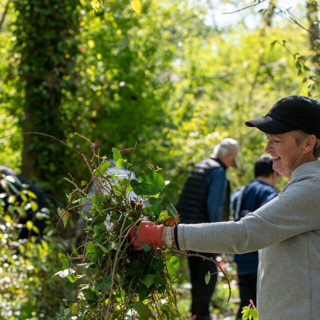 Mackie Park Weed Pull April 20 2024_0173 Mackie Park Weed Pull April 20 2024_0173