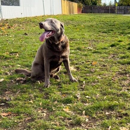 Screenshot 2025-07-14 144139