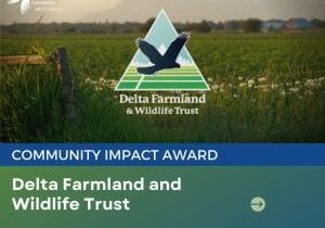 Community impact award, delta community impact, impact award, community award impact