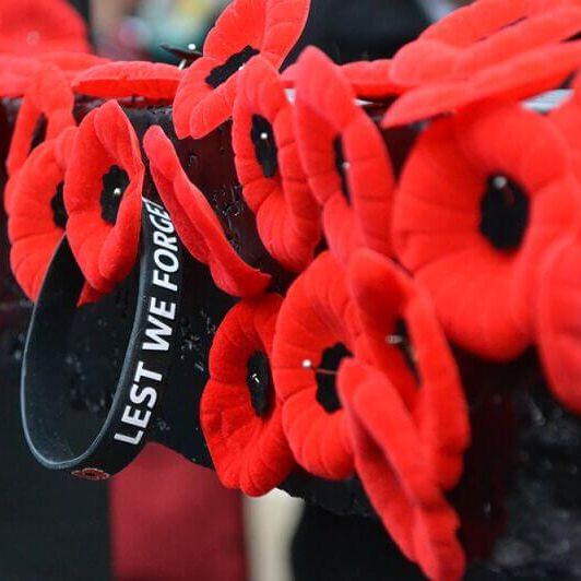 remembrance day poppies